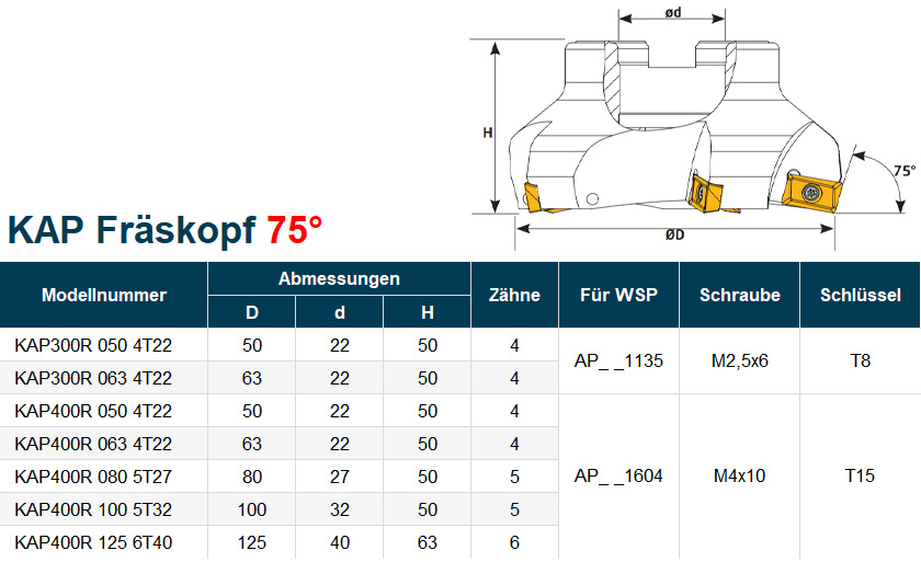 RAP-Planfraeser-Messerkopf-Fraeskopf-Wendeplattenfraeser